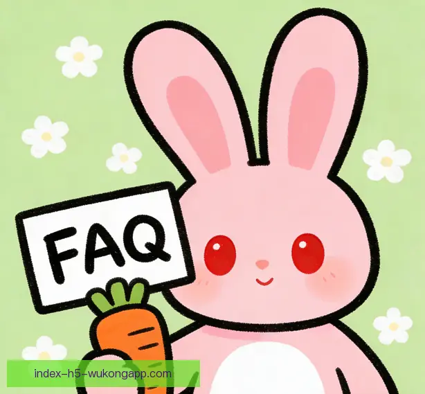 常见问题